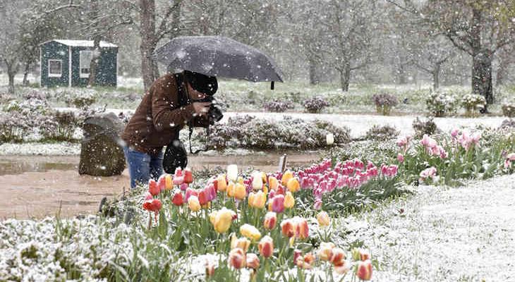 Когда в Беларуси в апреле выпадет снег? Синоптики не порадовали
